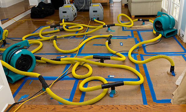 Professional Crawl Space Water Removal technician working in Rice, MN